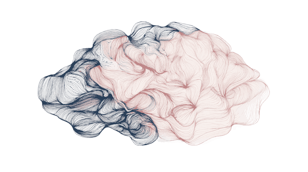 Image colorée